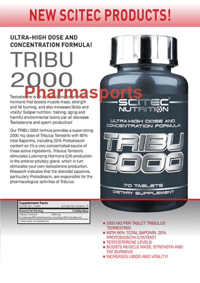 Scitec_Tribu2000_Tribulus