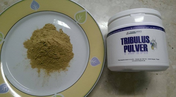 Tribulus Pulver Pharmasports in spitzen Qualität 