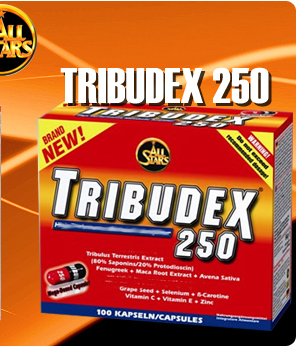 All Stars Tribudex 250 bei Pharmasports