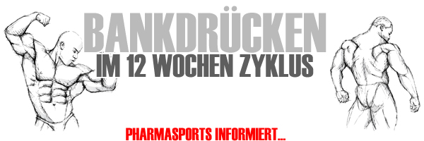 Bankdrücken im 12 Wochen Zyklus mit Pharmasports