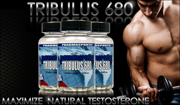 Tribulus Terrestris aneb síla testosteronu