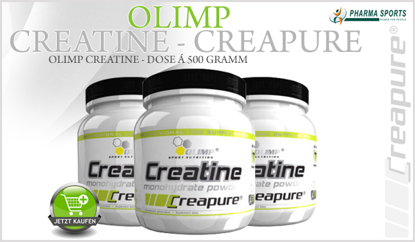 Olimp Creatine Creapure - Dose á 500 Gramm