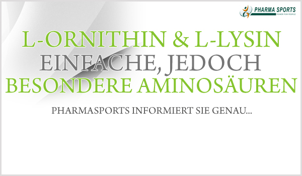 L-Ornithin und L-Lysin Informationen kostenlos bei Pharmasports
