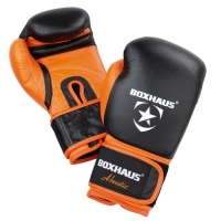Boxhaus Abnotic Boxing Handschuhe