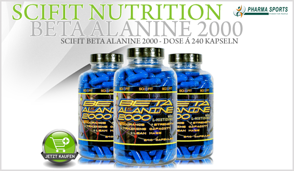 Scifit Beta Alanine 2000 - Dose á 240 Kapseln bei Pharmasports