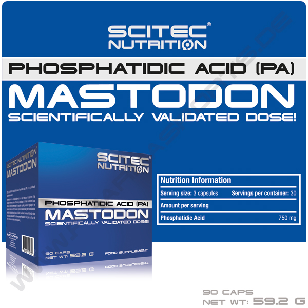 Scitec mastodon - Packung á 90 Kapseln bei Pharmasports 