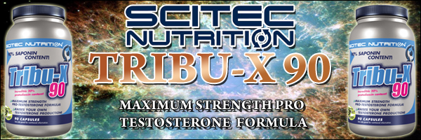 Tribulus Terrestris in hoher Qualität, Scitec Tribu-X 90