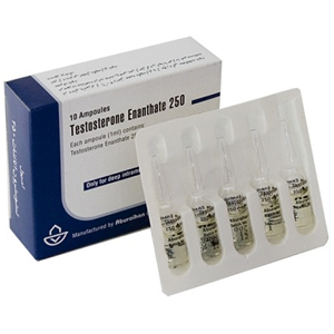 Testosteron Enantat 250 - 1ml Ampullen