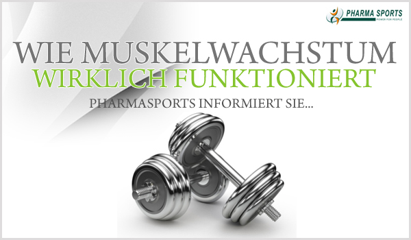 Wie das Muskelwachstum wirklich funktioniert