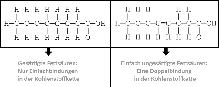 Fette erklärt im Pharmasports Lebensmittel Guide - Teil 2