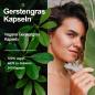 Preview: DDN Gerstengras Kapseln
