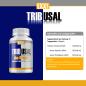 Preview: EXX Sports Tribusal