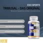 Preview: EXX Sports Tribusal