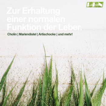 Preview: DDN Leber Komplex