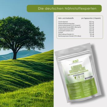 Preview: DDN Leber Komplex