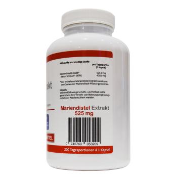 Netzeband Mariendistel Extrakt 525mg