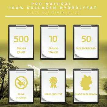 Preview: Pro Natural 100% Kollagen Hydrolysat