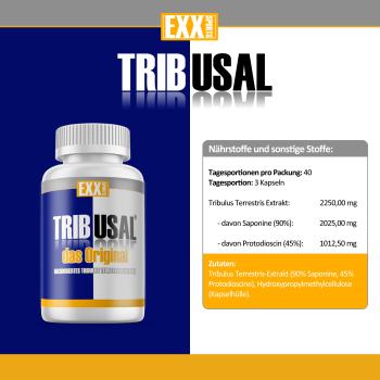 Preview: EXX Sports Tribusal