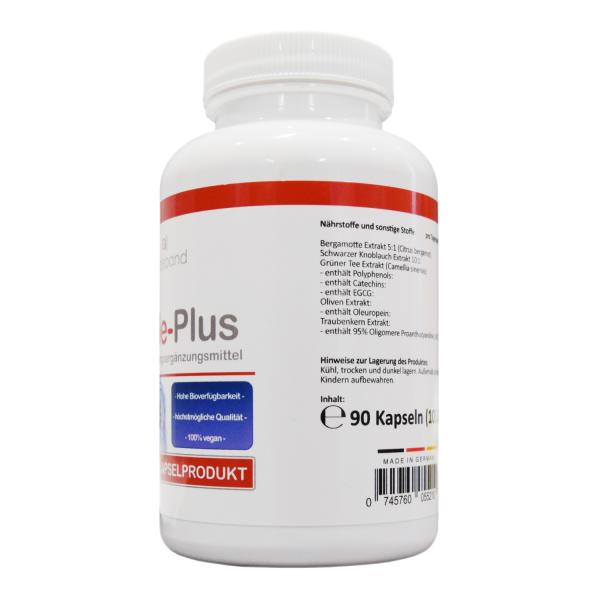 Netzeband Chole-Plus