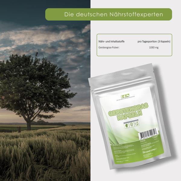 DDN Gerstengras Kapseln