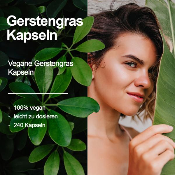 DDN Gerstengras Kapseln