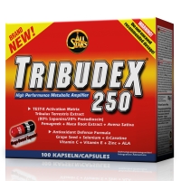 All Stars Tribudex 250
