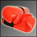 Pharmasports Boxhandschuhe