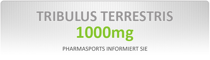 Tribulus Terrestris 1000mg Informationen 