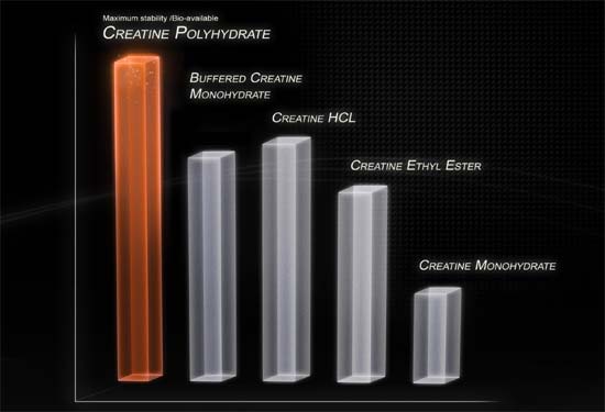 GN Creatine Polyhydrate