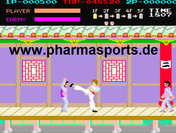 Kung_Fu_Master_Arcade