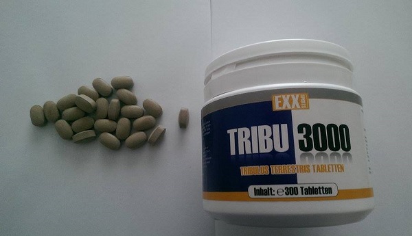 HARDCORE EXTREME TRIBULUS BIG PACKUNG mit 300 Stück 6000mg