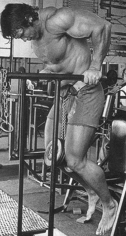 arnold_schwarzenegger_dips_Trizeps.