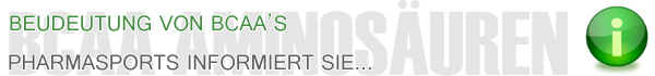Bedeutung von BCAA's