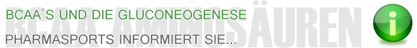 BCAA's und die Gluconeogenese