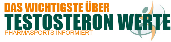 Testosteron Werte und mehr