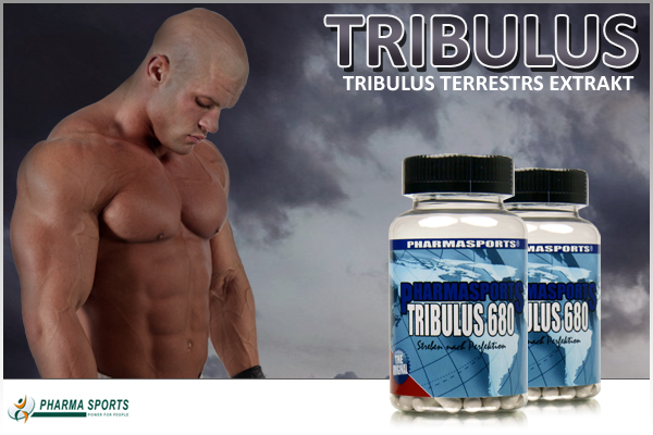 Tribulus Terrestris...Pharmasports informiert Sie genau zu den beliebtesten Supplementen