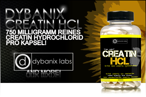 Dybanix Creatin HCL bei Pharmasports in Kombination mit US-Product-Line Muscle Stone