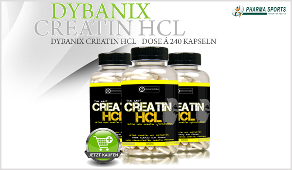 Dybanix Creatin HCL - Dose á 240 Kapseln