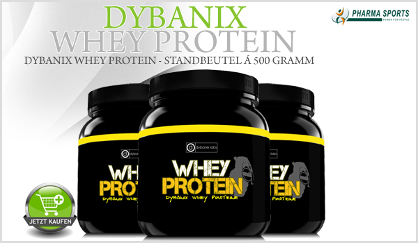 Dybanix Whey Protein in 6 Geschmackssorten bei Pharmasports