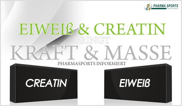 Pharmasports informiert Sie genau zur Supplement-Kombination Eiweiß + Creatin Pharmasports informiert Sie genau zur Supplement-Kombination Eiweiß + Creatin