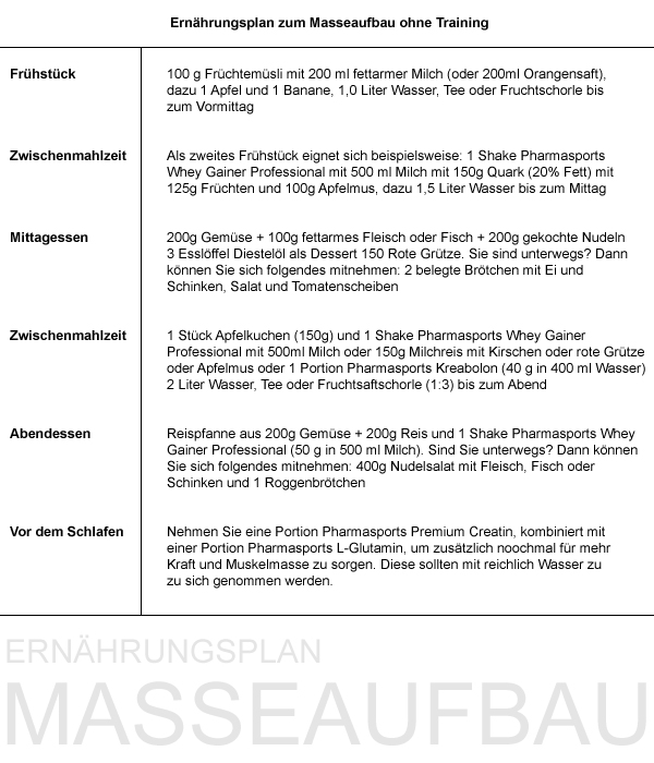 Ernährungsplan zum Masseaufbau ohne Training 