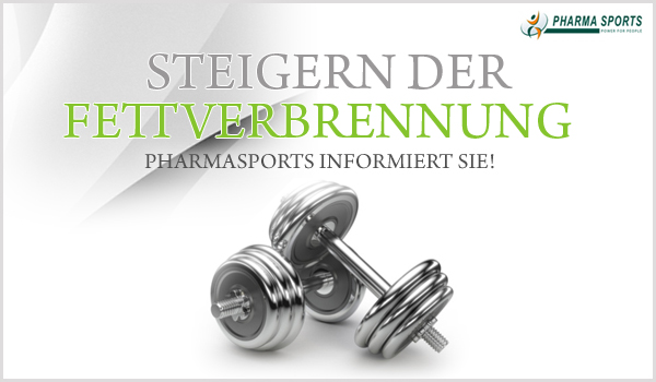 Das Steigern der Fettverbrennung