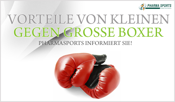 Wie sich kleine gegen große Boxer durchsetzen können