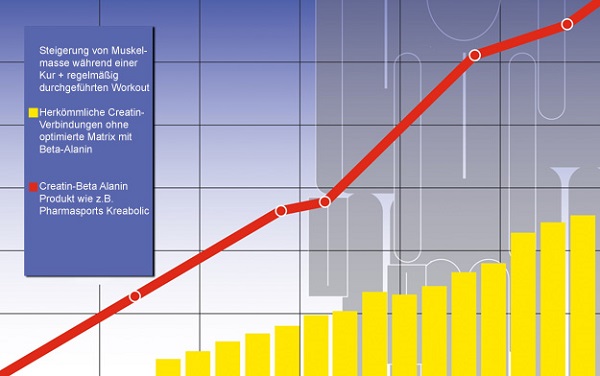 Kreabolic Studie Eine Kreatin – Beta Alaningruppe
