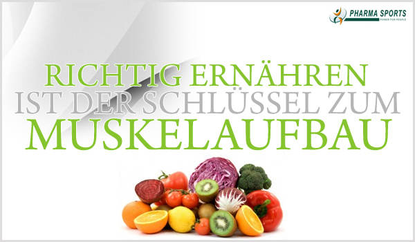 Richtige und gesunde Ernährung ist das A und O beim Muskelaufbau