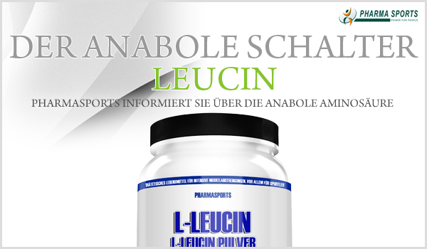 Der anabole Schalter Leucin 