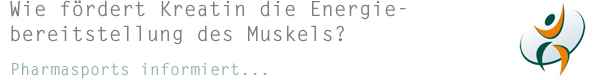 Wie fördert Kreatin die Energiebereitstellung des Muskels?
