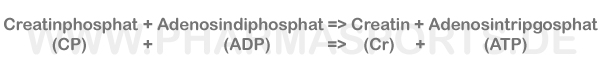 Skala zusammensetzung Creatinphosphat plus Adenosindiphosphat