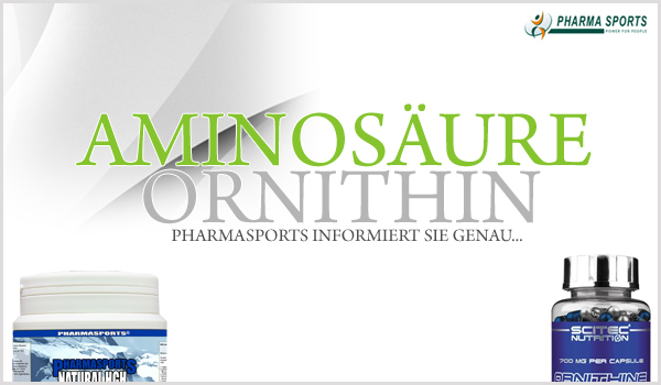 Alle wichtigen Informationen zu Ornithin finden Sie bei Pharmasports