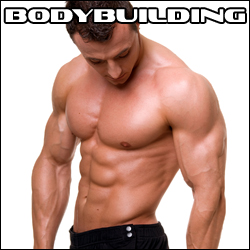 Ratgeber - Bodybuilding